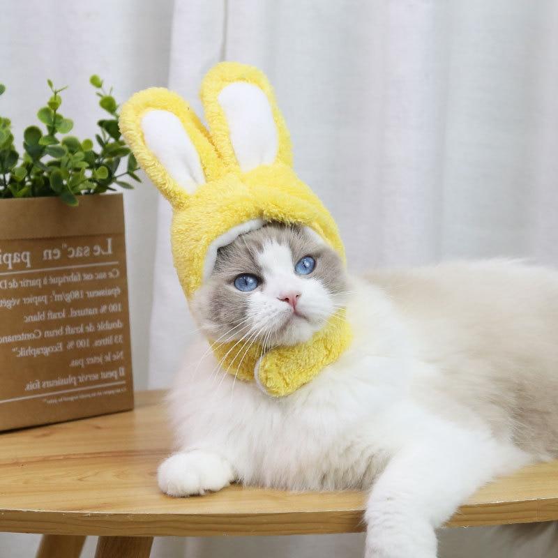 RabbitHat™ - Accessoire de déguisement pour chat - Chatvoris